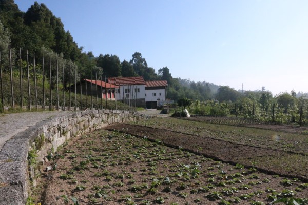 Centro Escutista da Penha dispõe de salas para formação, horta pedagógica e 2000 lugares para acampar